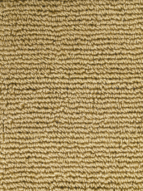 carpet rugs for living room