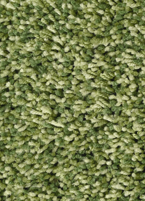 carpet for drawing room