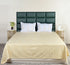 SOMA Cotton Rich Bedsheet | Floral & Stripe Woven Bed Sheet | 180 TC (Weight= 400 TC) | Soft & Comfortable Bedsheet for Bedroom