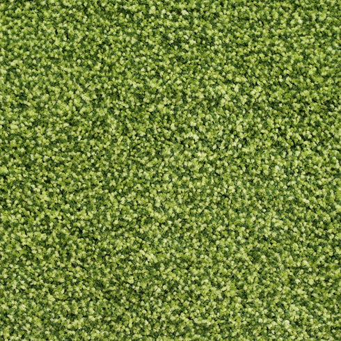 SOC-227 Microfiber Anti-Skid Bath Mats |Water Absorbing Mat | Washable Quick Drying Footmat | Home, Bathroom, Bedroom, Kitchen | Solid Floor Mat