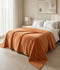 Lightweight Cloudy Mink Blanket Silky-Soft All-Season Blanket | Elegant, Cozy & Easy to Maintain