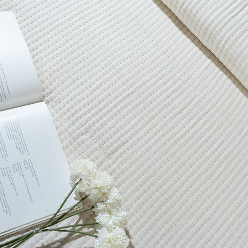 Self Stripe All Season Bedspread/Comforter/Quilt