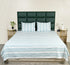 Feliz Cotton Microfiber Bedsheet | 180 TC (Equivalent to 400 TC Feel) | Woven Stripe Design | Soft, Colorfast, No Linting & Quick Dry