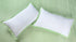 Darpa Cotton Rich Bedsheet | Elegant Geometric Arch Pattern Woven Bed Sheet | 180 TC (Weight 400 TC) | Soft & Comfortable Bedsheet for Bedroom