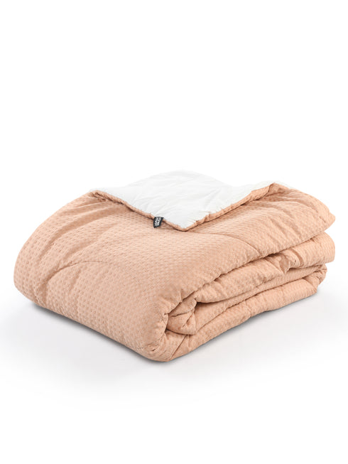 Shop for Stylish 4 PC COMBO-1 Bedsheet(90x100) +2 Pillow covers+ Quilts(90x100) Online at Price