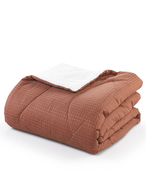 Shop for Stylish 4 PC COMBO-1 Bedsheet(90x100) +2 Pillow covers+ Quilts(90x100) Online at Price