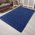 carpet for hall 4x6