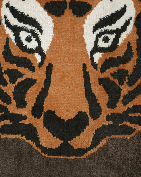 doormat for home entrance combo